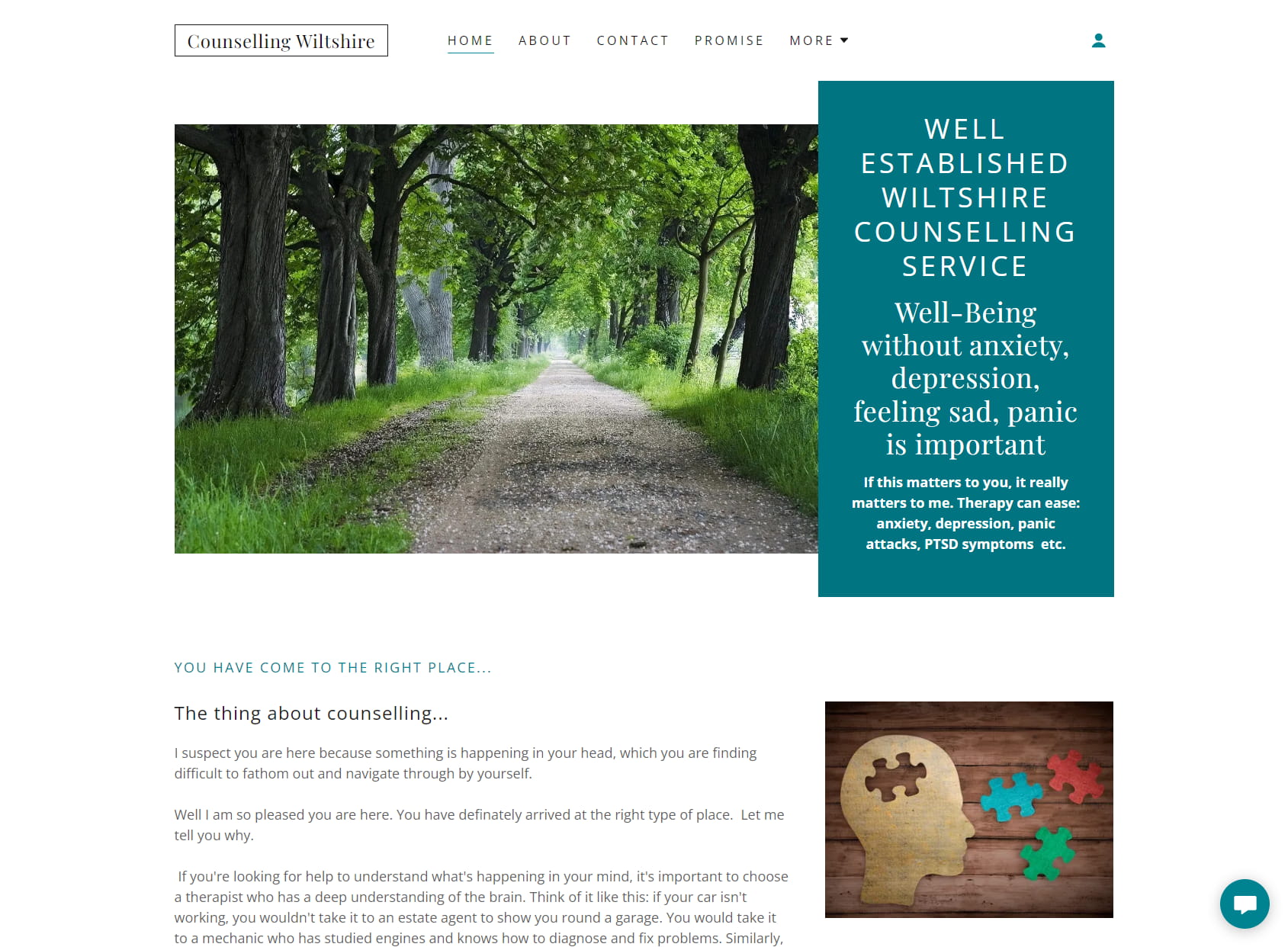 Counselling Wiltshire - Trauma Informed Counselling, EMDR therapy & Supervision.