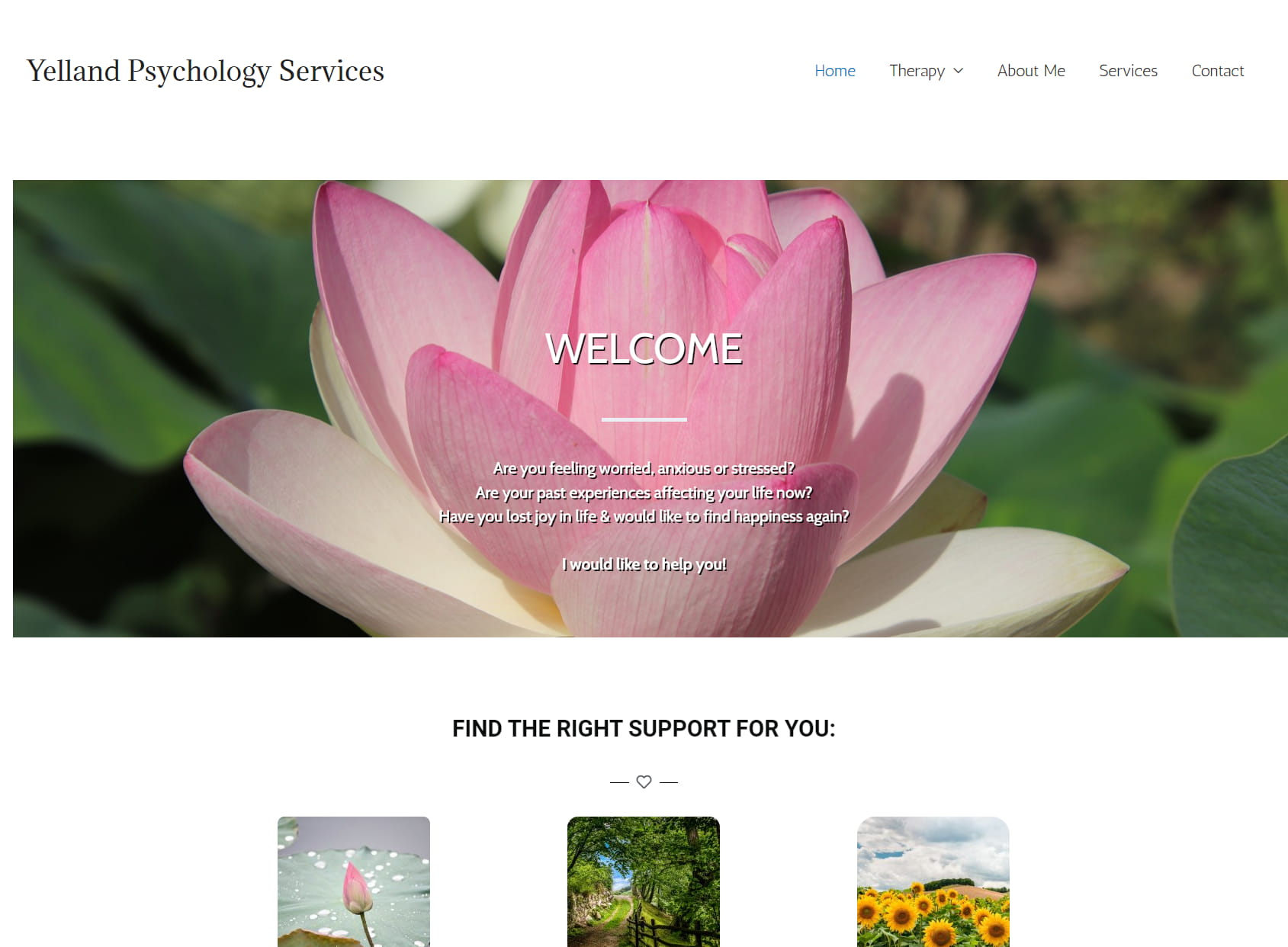 Yelland Psychology Services Ltd