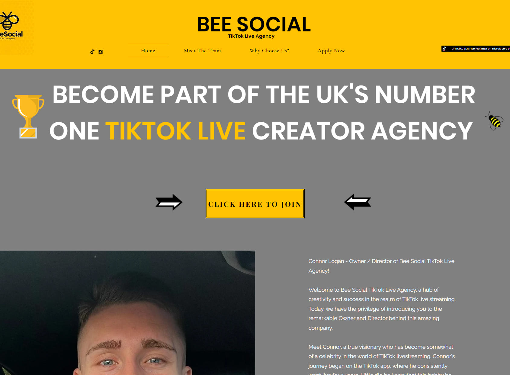 Bee Social TikTok Live Agency