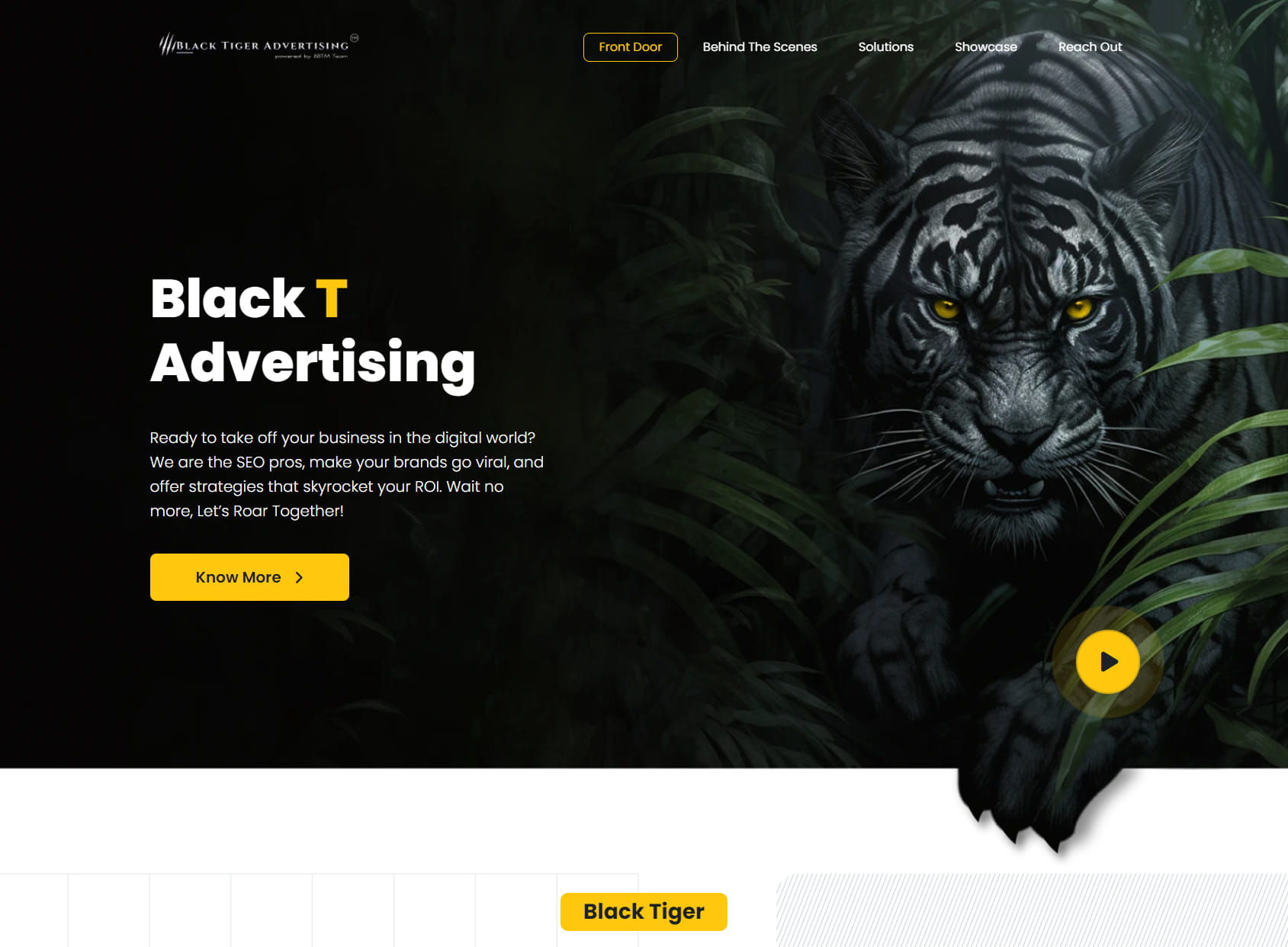 Black Tiger Advertising