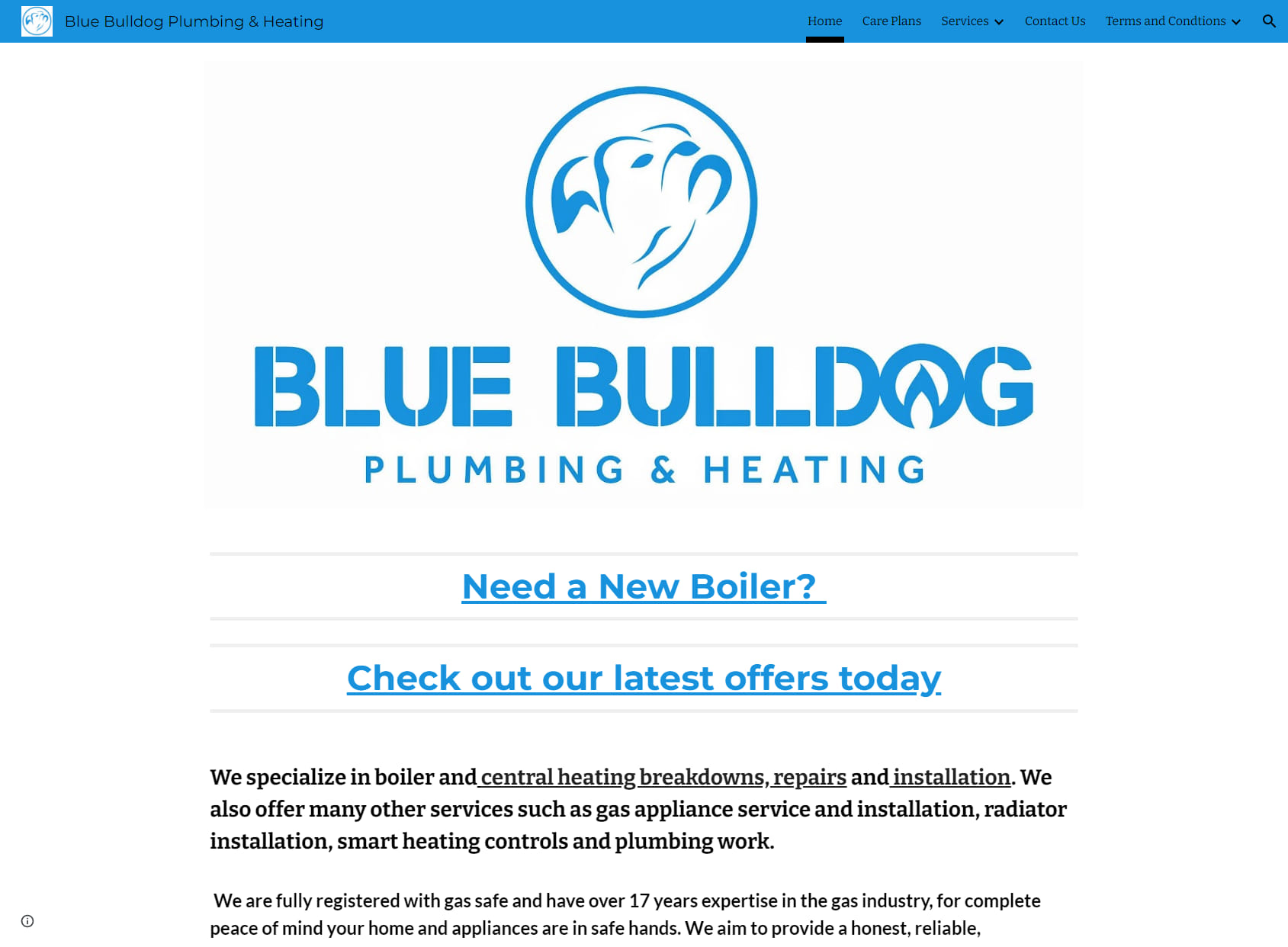 Blue Bulldog Ltd Plumbing and Heating