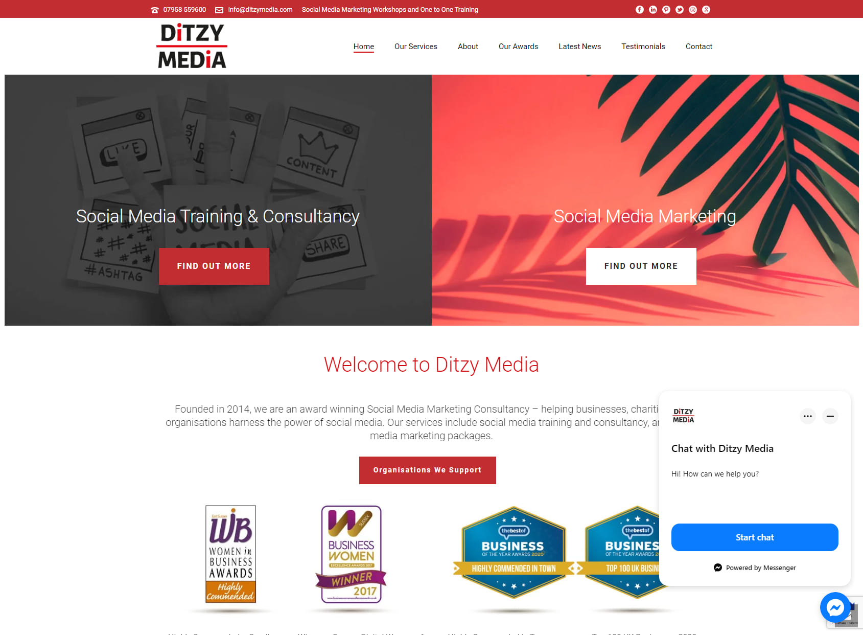 Ditzy Media