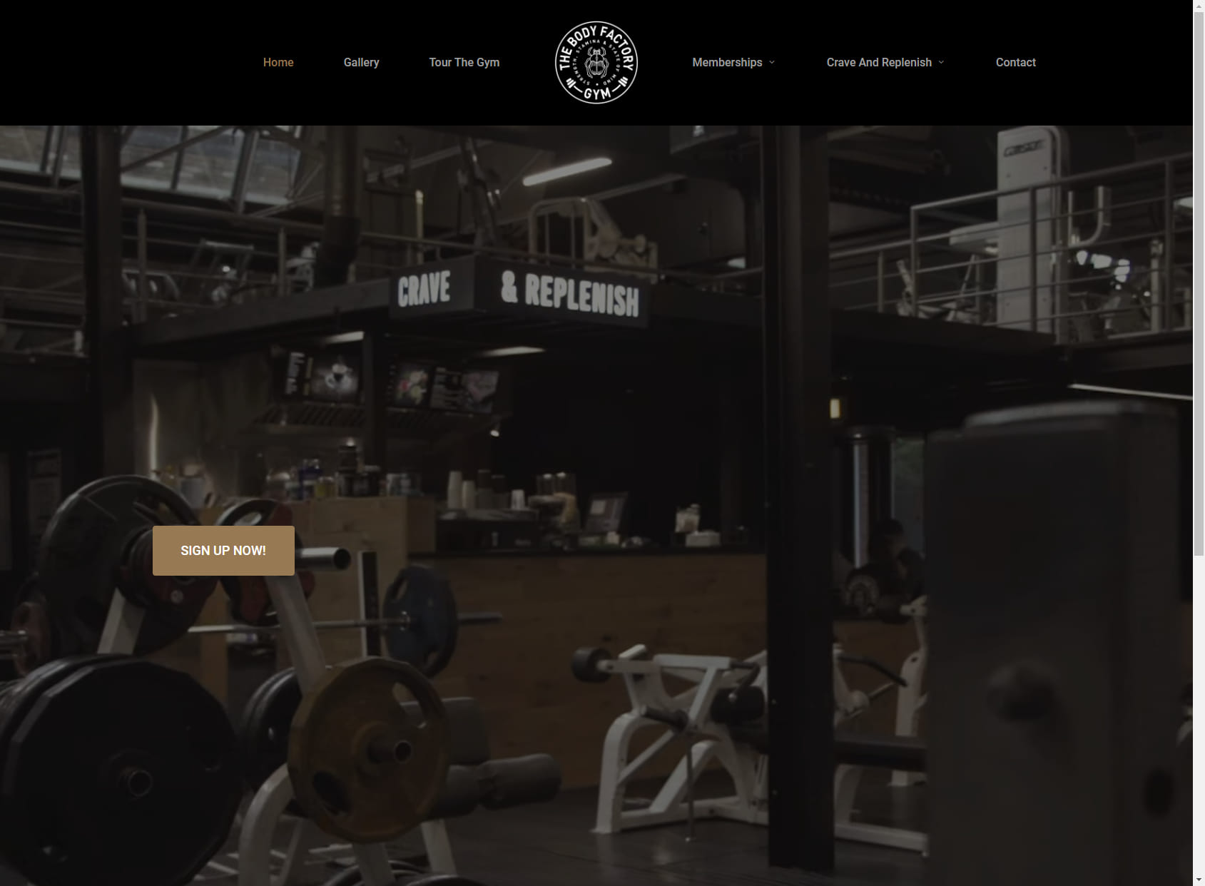 The Body Factory Gym